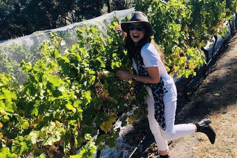 Valleys Of Vino Tour - Attractions Brisbane 3
