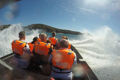 Noosa Thriller - 500hp Ocean Adventure Ride - Attractions Brisbane 3