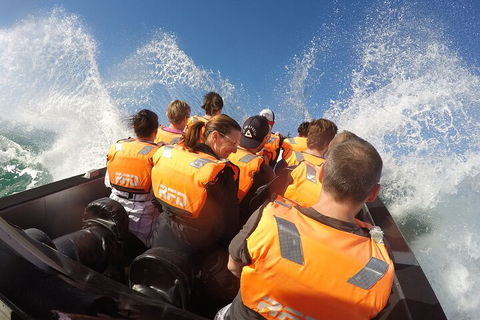 Noosa Thriller - 500hp Ocean Adventure Ride - Attractions Brisbane 4