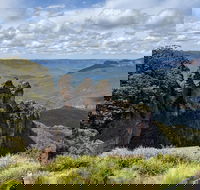 Blue Mountains Private Tour - wild kangaroos waterfalls and The Three Sisters - Attractions Brisbane