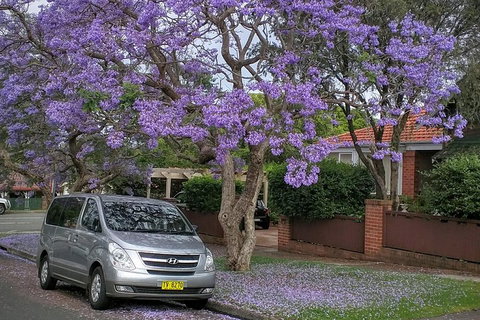 Sydney Secrets & Bondi Beach Private 4 Hr Morning With Personalised Sydney Tours - Attractions Brisbane 0