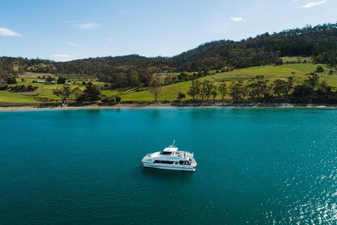 Deep-to-Dish: Tasmanian Seafood Experience - Attractions Brisbane 0