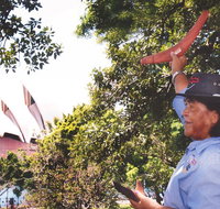 illi-Langi The Rocks Aboriginal Dreaming Tour - Attractions Brisbane
