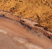 Scenic Flight Lizard Safari - Attractions Brisbane