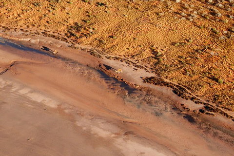 Scenic Flight: Lizard Safari - Attractions Brisbane 0