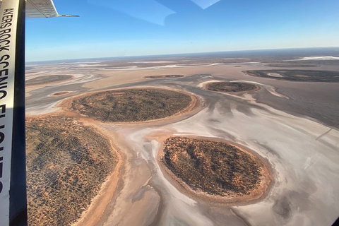 Scenic Flight: Lizard Safari - Attractions Brisbane 1