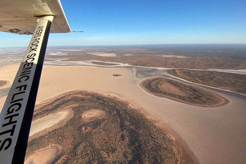 Scenic Flight: Lizard Safari - Attractions Brisbane 3