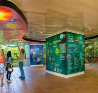 Skyrail  Kuranda Train Day Trip from Cairns - Attractions Brisbane
