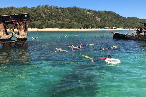All Inclusive Dolphin And Tangalooma Wrecks Cruise - Attractions Brisbane 0