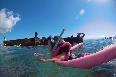 All Inclusive Dolphin And Tangalooma Wrecks Cruise - Attractions Brisbane 2