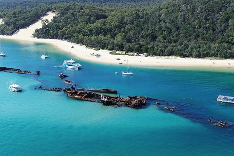 All Inclusive Dolphin And Tangalooma Wrecks Cruise - Attractions Brisbane 4