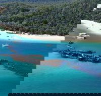 All Inclusive Tangalooma Wrecks Cruise Tour From Gold Coast - Attractions Brisbane