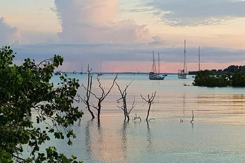 Tropical Light Sundowner Cruise With Drinks Included - Attractions Brisbane 2