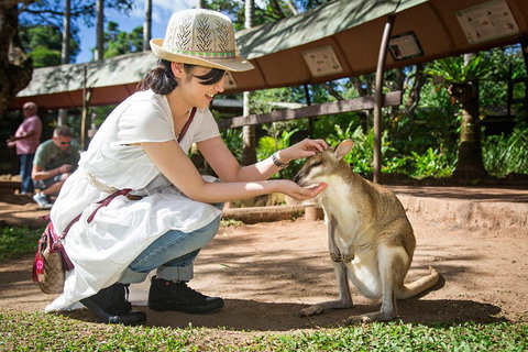Kuranda Day Tour, TKS-RFS GRAND GOLD PLUS 0930 - Attractions Brisbane 3