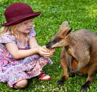 Kuranda Day Tour  HotAir Balloon Combo - Attractions Brisbane