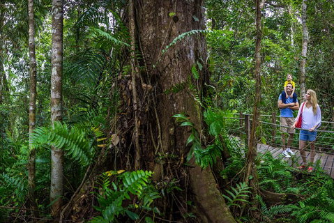 Kuranda Day Tour + HotAir Balloon Combo - Attractions Brisbane 3