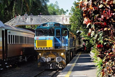 Kuranda Day Tour + HotAir Balloon Combo - Attractions Brisbane 4