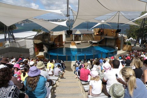 Sydney Taronga Zoo General Entry Ticket - Attractions Brisbane 5