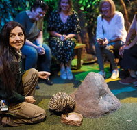 Sydney Taronga Zoo's Australian Animals Tour - Attractions Brisbane