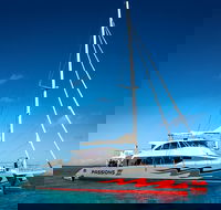 Passions of Paradise Great Barrier Reef Snorkel and Dive Cruise from Cairns by Luxury Catamaran - Attractions Brisbane