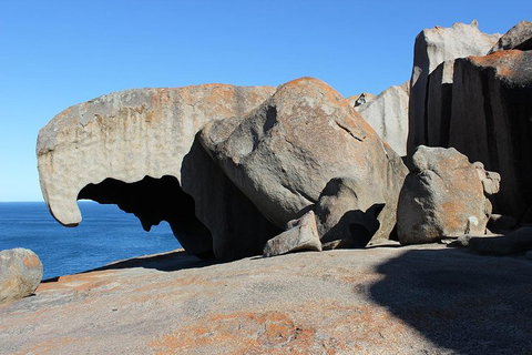 Kangaroo Island Personal Group Tours - Attractions Brisbane 2