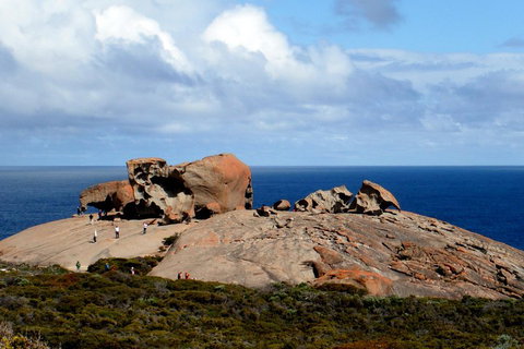Kangaroo Island Personal Group Tours - Attractions Brisbane 5