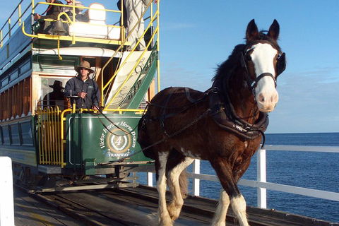 Full-Day Tour In South Australia Highlights - Attractions Brisbane 1