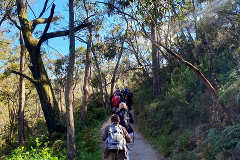 Self-Guided Waterfall Gully To Mount Lofty Hike From Adelaide - Attractions Brisbane 1