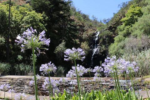 Self-Guided Waterfall Gully To Mount Lofty Hike From Adelaide - Attractions Brisbane 3