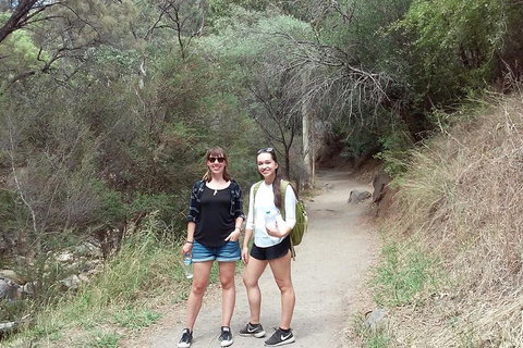 Self-Guided Waterfall Gully To Mount Lofty Hike From Adelaide - Attractions Brisbane 4