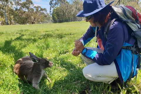 Mount Lofty Hike And Cleland Wildlife Park Day Trip From Adelaide - Attractions Brisbane 1