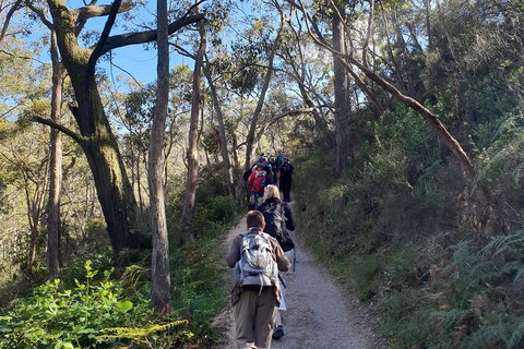 Mount Lofty Hike And Cleland Wildlife Park Day Trip From Adelaide - Attractions Brisbane 3
