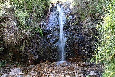 Mount Lofty Hike And Cleland Wildlife Park Day Trip From Adelaide - Attractions Brisbane 4