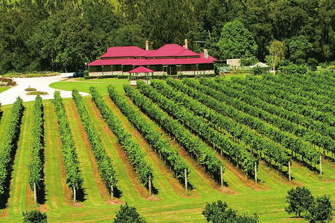 O'Reilly's & Lamington National Park From Brisbane - Attractions Brisbane 2