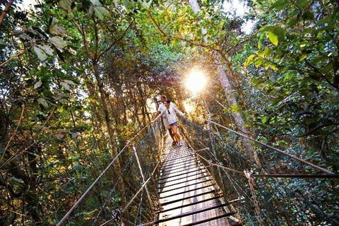 O'Reilly's & Lamington National Park From Brisbane - Attractions Brisbane 5