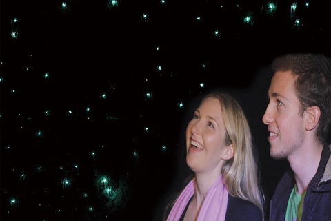 Natural Bridge Glow Worm Night Tour From Gold Coast - Attractions Brisbane 3