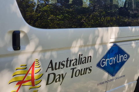 Natural Bridge Glow Worm Night Tour From Gold Coast - Attractions Brisbane 5