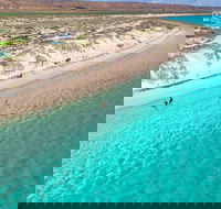 Ningaloo in a Day - Full Day Hike and Snorkel Tour with Lunch - Attractions Brisbane