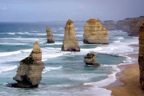 LGBT+ Friendly 2 Day Private Tour Great Ocean Road + Phillip Island - Attractions Brisbane 0