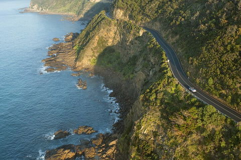 LGBT+ Friendly 2 Day Private Tour Great Ocean Road + Phillip Island - Attractions Brisbane 4