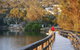 LGBT+ Friendly 3 Day Private Tour Great Ocean Road & Phillip Island - thumb 0