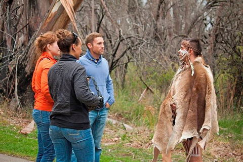 Blue Mountains Tour From Sydney With An Aboriginal Experience - Attractions Brisbane 3
