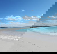 Shipwreck Special Nature Tour/Half Day Tour - Attractions Brisbane