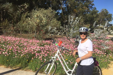 Perth Bike Tour - Beautiful Matilda Bay And Kings Park - Attractions Brisbane 1