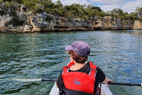 Cliffs And Caves Kayak Tour In Swan River - Attractions Brisbane 0