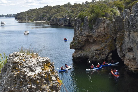 Cliffs And Caves Kayak Tour In Swan River - Attractions Brisbane 5