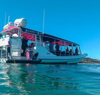 Best of Moreton Bay Cruise - Attractions Brisbane