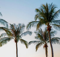 Darwin City Sightseeing Tour - Attractions Brisbane