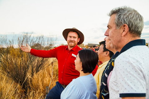 Uluru (Ayers Rock) Sunset With Outback Barbecue Dinner And Star Tour - Attractions Brisbane 3