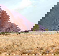 Uluru Sunrise and Guided Base Walk - Attractions Brisbane